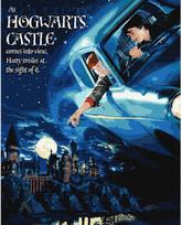 Tapyba pagal skaičius IDEYKA Harry Potter skrydis automobiliu, su metaliko dažais, 40 x 50 cm
