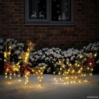 Elnių tempimo roges 160 LED Šilta balta 30 x 12 x 55 cm PET