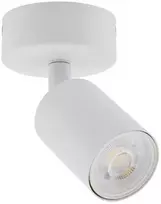 Lubinis šviestuvas Šviestuvas lubų ir sienų TK Lighting Top, GU10, 1 x 10 W