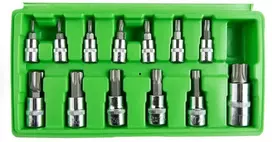 ŽVAIGŽDINIŲ "TORX" GALVUČIŲ-ANTGALIŲ KOMPLEKTAS, 13VNT. DS1230