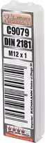 RICHMANN Smulkiasriegis sriegiklis M12 x 1 mm 2 vnt.