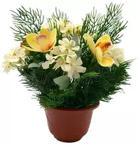 Dirbtinė orchidėjų ir hortenzijų puokštė vazone