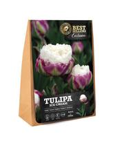 Svogūninės gėlės tulpė ICE CREAM, 11 - 12 mm, 10 vnt.