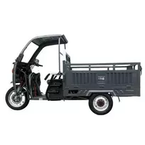 Elektrinis krovininis triratis RIDE-E BULL+ su stogu ir priekiniu stiklu (EEC) pilkas