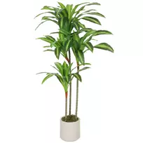 Dirbtinis Dracena medis 120 cm su lanksčiais kamienais ir baltu vazonu svetainei, miegamajam, biurui