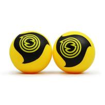 SPIKEBALL Pro Spikeball kamuoliukai, 2 vnt.