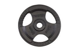 TOORX DGN-TG D50mm 20kg Svorio diskas
