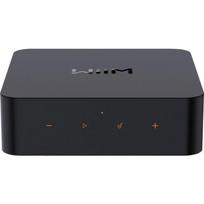 WiiM Pro Plus tinklo grotuvas 806073, 121dB SNR, 32-bit, Wi-Fi, Bluetooth 5.3, RCA, SPDIF, USB-C
