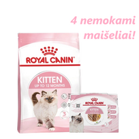 ROYAL CANIN Kitten 4 kg sauso ėdalo 4-12 mėnesių kačiukams + 4 nemokami maišeliai!