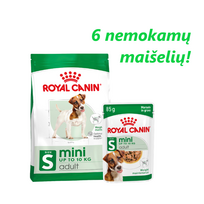 ROYAL CANIN Mini Adult 8kg sausas ėdalas suaugusiems mažų veislių šunims + 6 nemokami maišeliai!