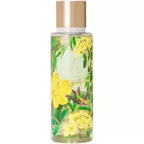 Victoria's Secret Wild Willow Bodyspray 250 ml (woman)