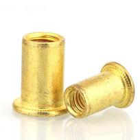 Copper Brass Flat Head Rivet Cap Nut - 32 Perforated Rivet Nuts (M5, M6, M8) 5mm