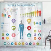 Human Body Shower Curtain Illustration Bathroom Decor,Science Human Anatomy Shower Curtains,Skeleton Skull Fabric Bathroom Set W60H190(CM)-1 Pcs gray