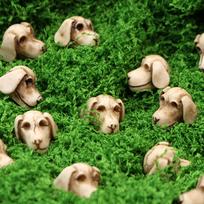 Dog 0 Resin Outdoor Courtyard Tabletop Flower Pot Paving Decoration Decoration One Size mėlyna