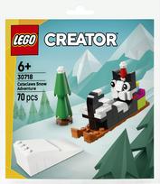 Konstruktorius LEGO Creator Snow Adventure Cataclaws 30718