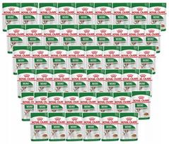 Šunų maistas ROYAL CANIN Mini Adult 48x85g ALLEGRO
