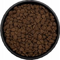 Šunų pašaras RAW PALEO ULTRA MINI ADULT BEEF, 1 kg