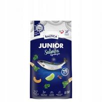 Sausas pašaras šunims Baltica Salmon Hypoallergenic Junior L/XL