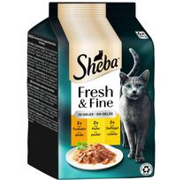 Kačių pašaro rinkinys Sheba Fresh & Fine su kalakutiena, vištiena ir paukštiena drebučiuose 6x50g