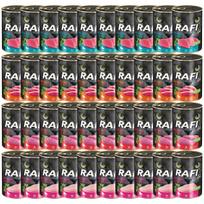 Šlapi kačių ėdalas RAFI CAT Dolina Noteci, įvairių skonių, 40 x 400g, be grūdų