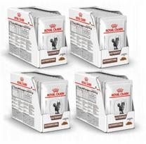 Šunų pašaras Royal Canin Gastro Intestinal 4 x 12x85g