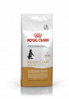 Katėms ROYAL CANIN MAINE COON KITTEN 14 kg