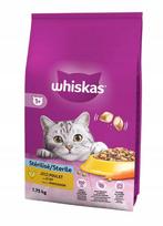 Sausas kačių maistas Whiskas chicken junior 1,4 kg
