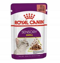 Drėgnas pašaras katėms Royal Canin FHN Sensory Smell 85 g padaže