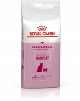 Sausas kačių pašaras ROYAL CANIN MOTHER & BABYCAT 10 kg PROFESSIONAL