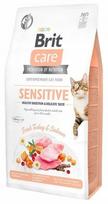 Sausa katėms skirta BRIT Care Grain-Free Sensitive pašaras 400g 716