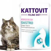 Šlapias kačių maistas Kattovit Gastro su lašiša ir ryžiais 85g