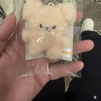 Nauji 32 stilių Stray kids 10 cm aukščio pliušinio žaislo raktų pakabuko dekoravimo pakabukas SKZOO kawaii krepšio dekoracija švelnus mielas gyvūnėlio lėlė PuppyM gray