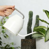Long Spout Iron Watering Can With Narrow Spout Suitable For Succulents And Small Potted Plant Enhances Garden Aesthetics 1