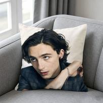 Timothee Hall Chalamett Pillow cover Soft Microfiber Pillowcase Home Sofa Decor Surprise Decorative printed 30cmx30cm(12x12Inch) black