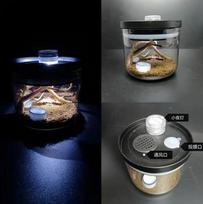 Reptile Breeding Box For Young Scorpions Centipedes Spiders Chirping Insects Crickets Ecological Glass Jar Ground Dwelling black