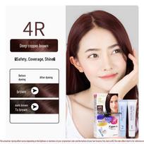 Dariya Taliya Japanese Hair Dye - Plant-Based, No-Irritation, Covers White Hair beige