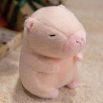 24cm Light up Capybara Stuffed Animal Soft Plush Toys with Colorful LED Night Light Capybara Toys Kids Holiday Boy Birthday Gift 24cm brown