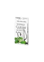 CARIBI Lily of the Valley dulkių siurblio oro gaiviklis „Pakalnutės“