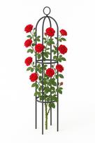 Metalinė sodo pergolė ir atrama rožėms, 150 cm