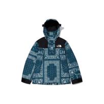 THE NORTH FACE Naujiena Gtx Paisley Kalnų striukė Unisex NJ2GN10A L black