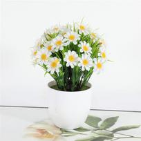Plastikinis Ramunėlės Apvalus Bonsai Saulėgrąžos Vazonas Dirbtinių Gėlių Su Vaza Rinkinys Namų Dekoras Vestuvių Dekoracija Augalai Vazonuose A1 white
