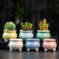 6 vienetai/rinkinys Spalvingas mini gėlių vazonas Sukulentų vazonas Keraminis vazonas Stalinis ornamentas Namų dekoras 1 Set beige