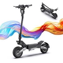 OOTD T10 - Foldable Electric Scooter - 900W Motor - 48V 13.5Ah Battery - 11  Wheels - Range 45km - Disc Brakes, Black