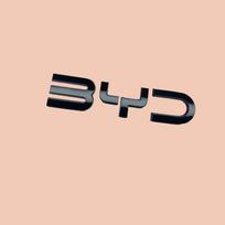 For BYD Dolphin Surf /Mini Atto 1 2025 2026 Black Front Badge Sticker No Drill Black Rear Emblem Black Warrior Car Modification czujm33 black
