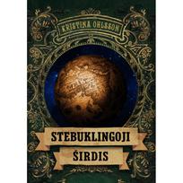 Stebuklingoji širdis - Kristina Ohlsson