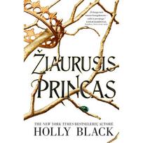 Žiaurusis princas, 1 knyga - Holly Black