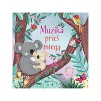 Muzika prieš miegą - Sam Taplin