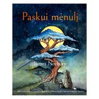 Paskui mėnulį