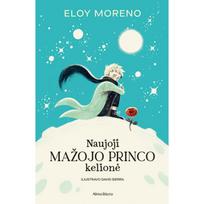 Naujoji Mažojo princo kelionė - David Sierra, Eloy Moreno
