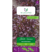 Lapinė salota Red Salad Bowl – raudona, ąžuolo lapų formos